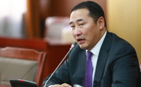 "УИХ-ын гишүүн асан Ж.Мөнхбат Монгол Улсын хилээр аравдугаар сард гараад орж ирээгүй"